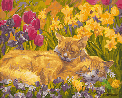 Cat & Dog Paint By Numbers Kits UK GX22312