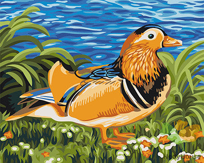 Birds Paint By Numbers Kits UK GX22360