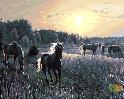 Animal Paint By Numbers Kits UK GX22399