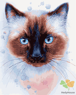 Cat & Dog Paint By Numbers Kits UK GX22407