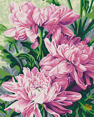 Flower Paint By Numbers Kits UK GX22411