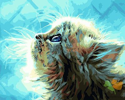 Cat & Dog Paint By Numbers Kits UK GX22449