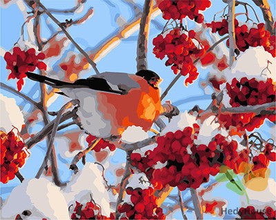 Birds Paint By Numbers Kits UK GX22496