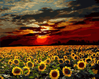 Flower Paint By Numbers Kits UK GX22507