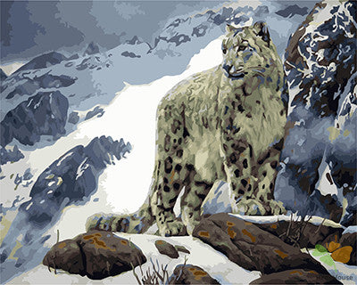 Animal Paint By Numbers Kits UK GX22648