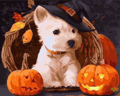 Cat & Dog Paint By Numbers Kits UK GX22655