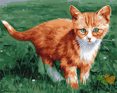 Cat & Dog Paint By Numbers Kits UK GX22737