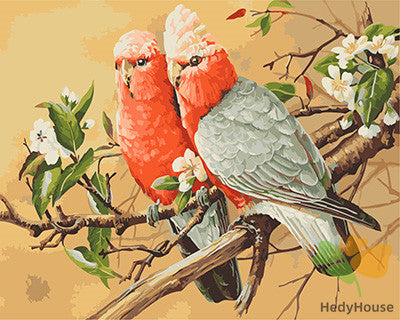 Birds Paint By Numbers Kits UK GX22742