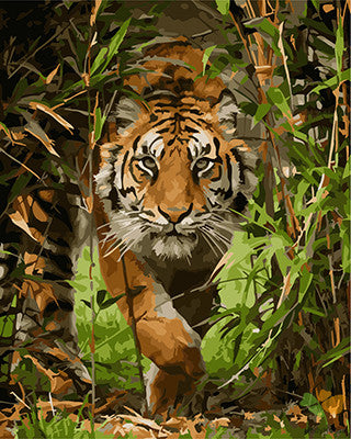 Animal Paint By Numbers Kits UK GX22798