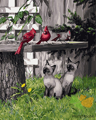 Birds Paint By Numbers Kits UK GX22845