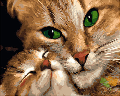 Cat & Dog Paint By Numbers Kits UK GX22852
