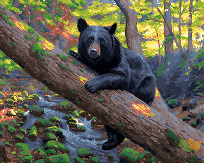 Animal Paint By Numbers Kits UK GX22881