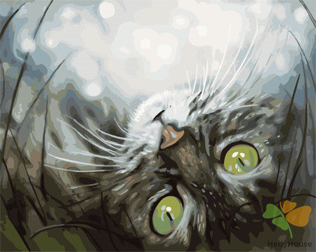 Cat & Dog Paint By Numbers Kits UK GX22929