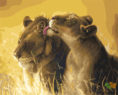 Animal Paint By Numbers Kits UK GX22930