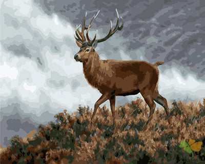 Animal Paint By Numbers Kits UK GX23036