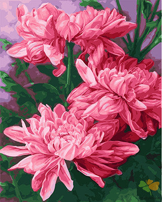 Flower Paint By Numbers Kits UK GX23053