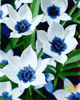 Flower Paint By Numbers Kits UK GX23055