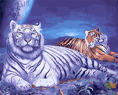 Animal Paint By Numbers Kits UK GX23073