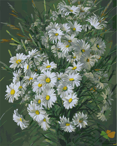 Flower Paint By Numbers Kits UK GX23182