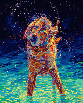 Cat & Dog Paint By Numbers Kits UK GX23230