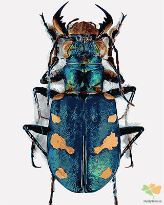 Cartoon Paint By Numbers Kits UK GX23253