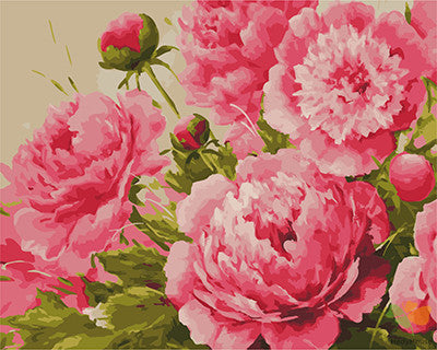 Flower Paint By Numbers Kits UK GX23270