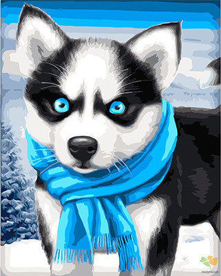 Cat & Dog Paint By Numbers Kits UK GX23297