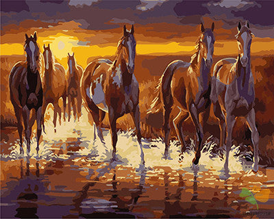 Animal Paint By Numbers Kits UK GX23339