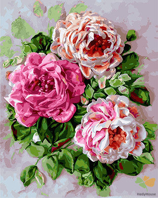 Flower Paint By Numbers Kits UK GX23345