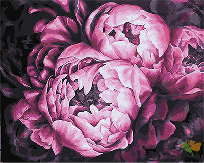 Flower Paint By Numbers Kits UK GX23351