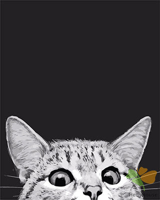 Cat & Dog Paint By Numbers Kits UK GX23365