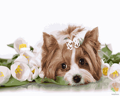 Cat & Dog Paint By Numbers Kits UK GX23371