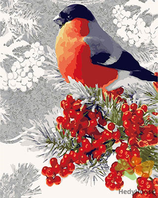 Birds Paint By Numbers Kits UK GX23402