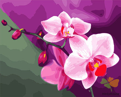 Flower Paint By Numbers Kits UK GX23420