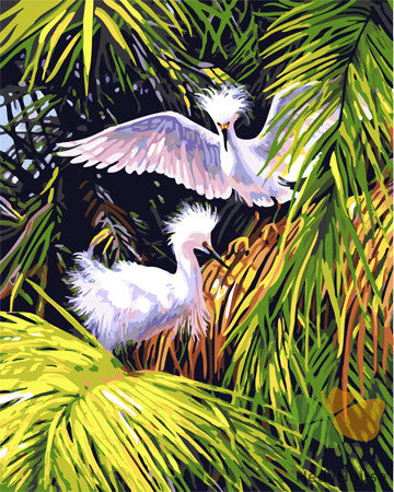 Birds Paint By Numbers Kits UK GX23477