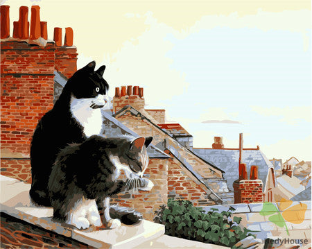 Cat & Dog Paint By Numbers Kits UK GX23493