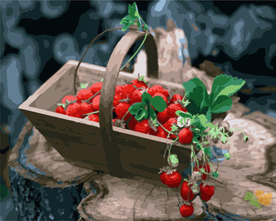 Flower Paint By Numbers Kits UK GX23540