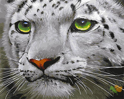 Animal Paint By Numbers Kits UK GX23543