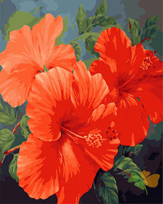 Flower Paint By Numbers Kits UK GX23544