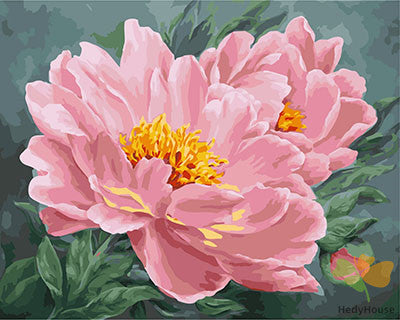 Flower Paint By Numbers Kits UK GX23551