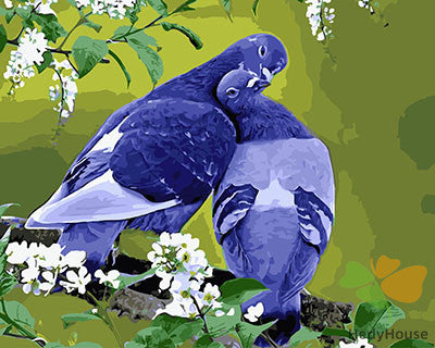 Birds Paint By Numbers Kits UK GX23631