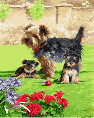 Cat & Dog Paint By Numbers Kits UK GX23645