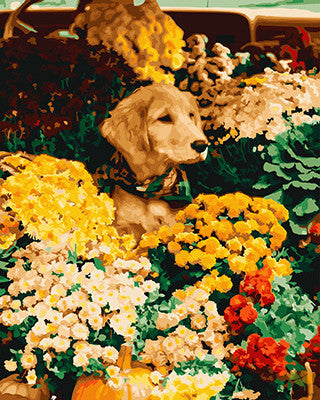 Cat & Dog Paint By Numbers Kits UK GX23706