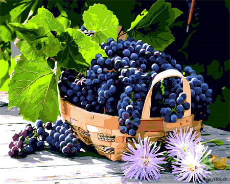 Still Life Paint By Numbers Kits UK GX23736