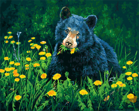 Animal Paint By Numbers Kits UK GX23760