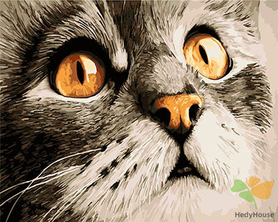 Cat & Dog Paint By Numbers Kits UK GX23782