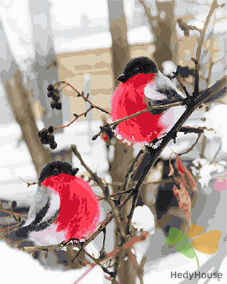 Birds Paint By Numbers Kits UK GX23794