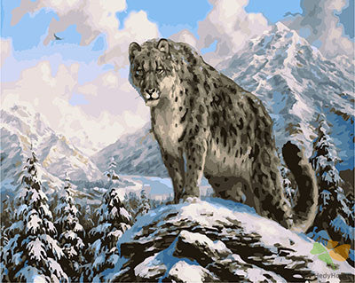 Animal Paint By Numbers Kits UK GX23827