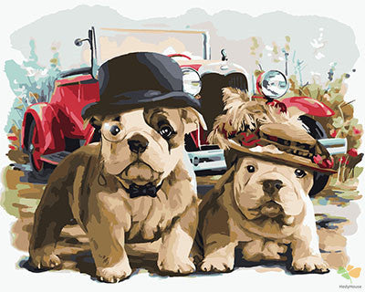 Cat & Dog Paint By Numbers Kits UK GX23845