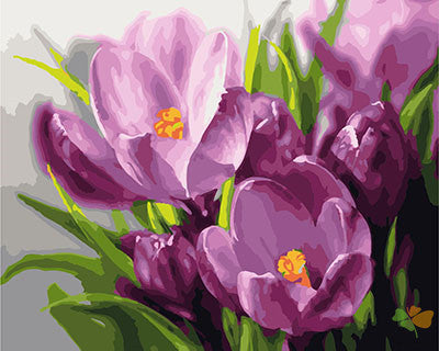 Flower Paint By Numbers Kits UK GX23846